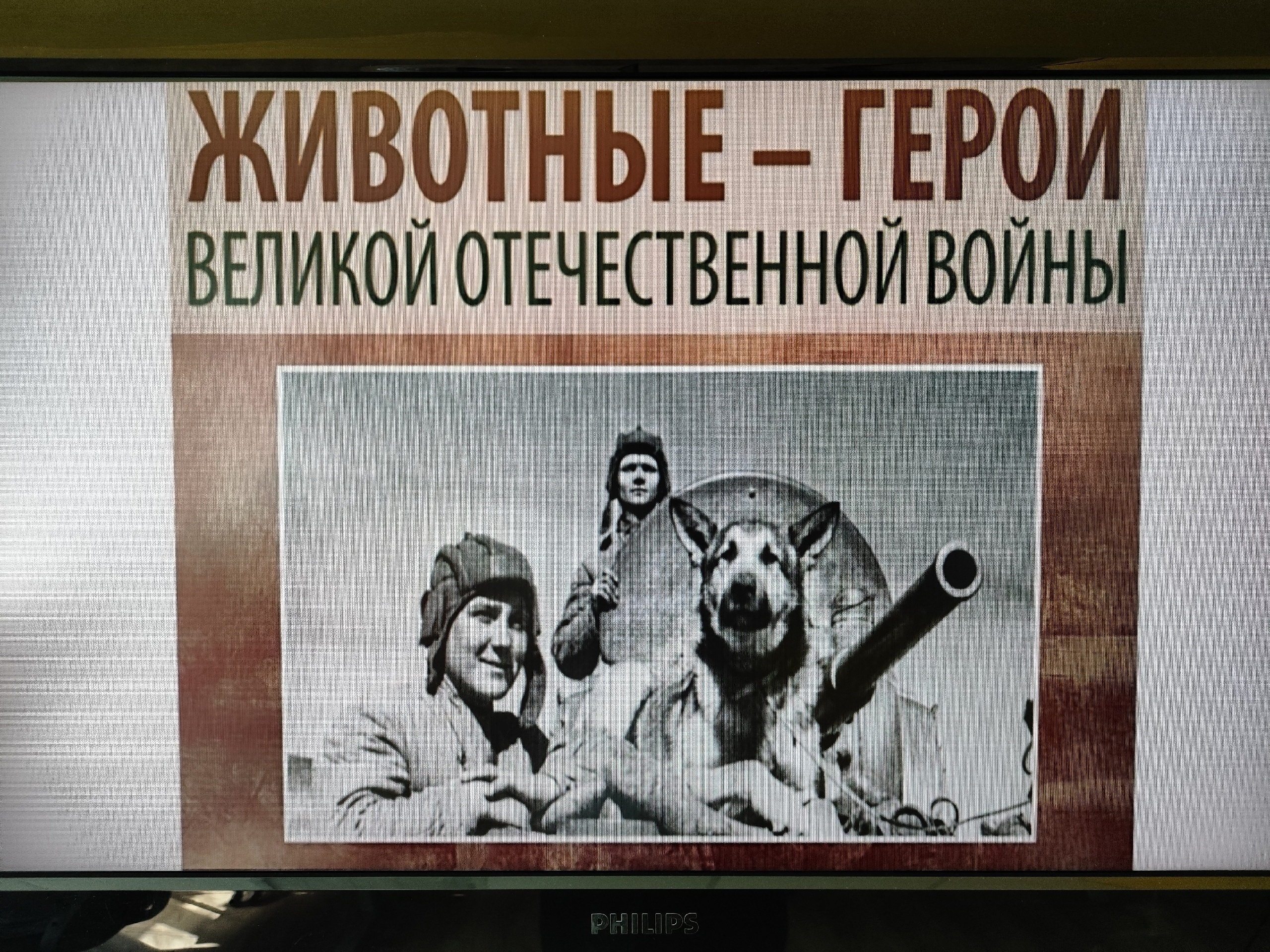 Zb3K3A6FFwc.jpg